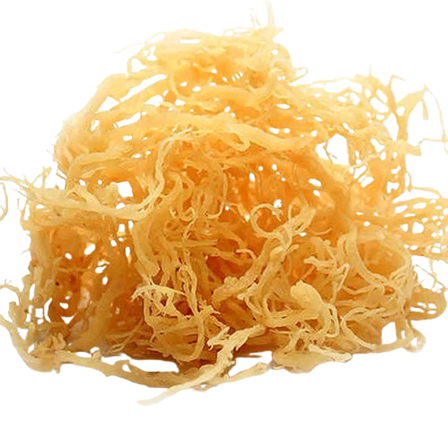 Original Sea Moss Gel